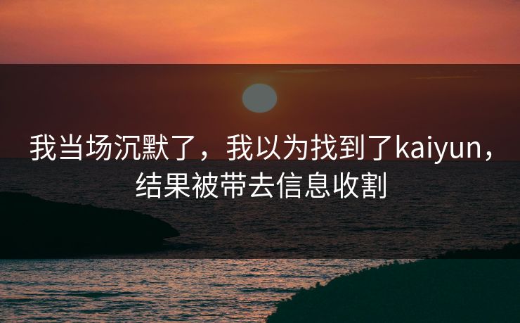 我当场沉默了，我以为找到了kaiyun，结果被带去信息收割