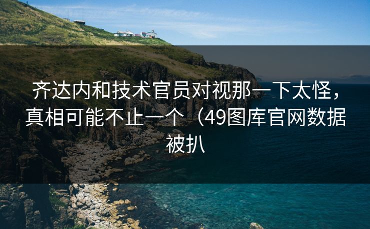 齐达内和技术官员对视那一下太怪，真相可能不止一个（49图库官网数据被扒