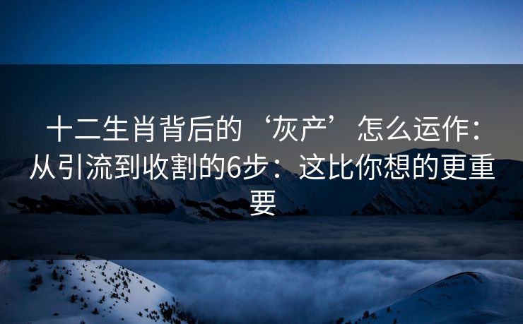 十二生肖背后的‘灰产’怎么运作：从引流到收割的6步：这比你想的更重要