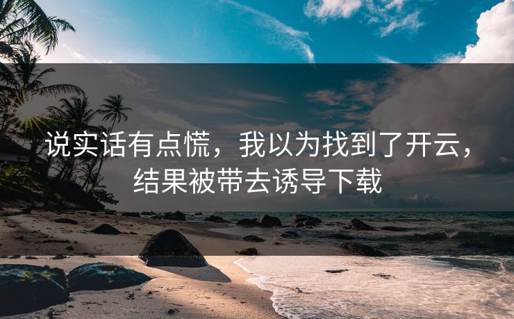 说实话有点慌，我以为找到了开云，结果被带去诱导下载
